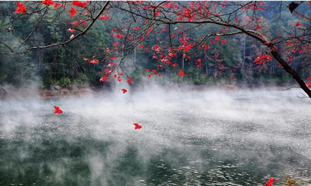 3、陡水湖红叶（江克平摄）.jpg